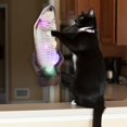 thumbnail image 3 of GROWTH TANK Electric Cat Toy, Realistic Interactive Cat Toy, Wiggle Arawana, 3 of 9