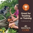 thumbnail image 2 of Wellness CORE Tiny Trainers Tender Treats, Grain Free, Turkey & Pomegranate, 6 Ounce Bag, 2 of 10