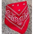 thumbnail image 2 of Bufanda de moda Clásica Multicolor Cómoda Pañuelo Frijol Rojo, 2 of 2