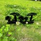 thumbnail image 1 of Horticultural Metal Hollowed Out Mushrooms Iron Piece Outdoor Garden Decoration Ground Insertion Handicrafts, 1 of 4
