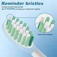 thumbnail image 3 of Blusmart Electric Toothbrush Replacement Heads, Ultra-Soft DuPont Bristles, Gentle Plaque Removal, 8-Pack, 3 of 8
