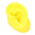 thumbnail image 3 of Simulación de silicona suave, modelo de oreja humana izquierda, pantalla de oreja, modelo de ayuda para enseñanza, 3 of 8