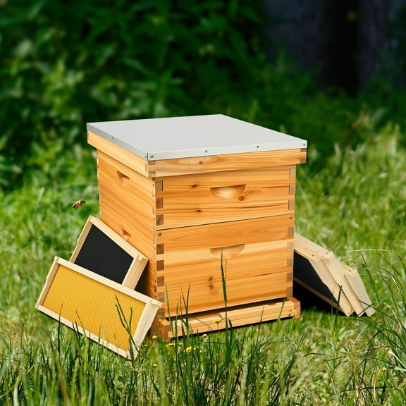 20 Frame Bee Hive Box Kit Beeswax Coated Langstroth Beehive Kit for Beekeeping