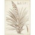 thumbnail image 2 of Vision Studio 15x18 Black Ornate Wood Framed with Double Matting Museum Art Print Titled - Sepia Exotic Plants III, 2 of 4