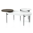 thumbnail image 2 of Wicklow Wood 2-Piece Coffee Table Set, White, 2 of 5