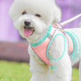 thumbnail image 4 of Dog Harness For Small Medium Large Dogs No Pull, Puppy Harness And Leash Set, Easy Walk Dog Harness For Walking, Running, Training, 4 of 5