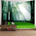 thumbnail image 2 of Tapiz de Impresión para Colgar en La Pared 3D, Manta para Sentarse, Cubierta de Toalla de Playa, Imágenes, Mural, Sala de Estar, Decoración de Dormito F Baoblaze Tapiz tapiz 3D, 2 of 8