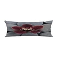 thumbnail image 1 of HATIART Beautiful Orchid On Gray Pebbles Body Pillow Covers Pillow Case Protector Pillowcase 20x60 Inch, 1 of 1