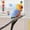 Blue, variant on Warm Bird Clothes for Parrots, Cozy Fleece Cape with Hood for Outdoor Wear, Adjustable Winter Jacket for Cockatiel, Lovebird, Pet Bird Clothes Accessories, Medium Yellow