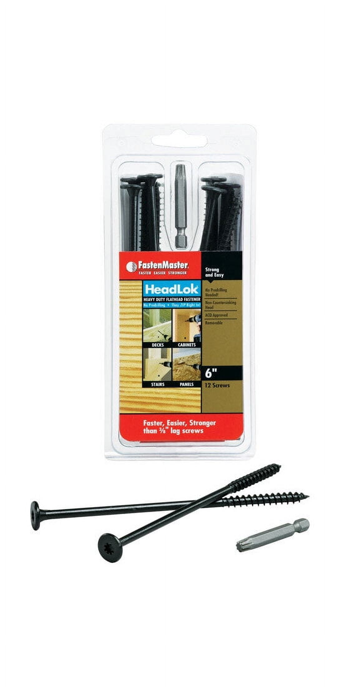 FastenMaster HeadLok 6 in. L Spider Epoxy Wood Screws 12
