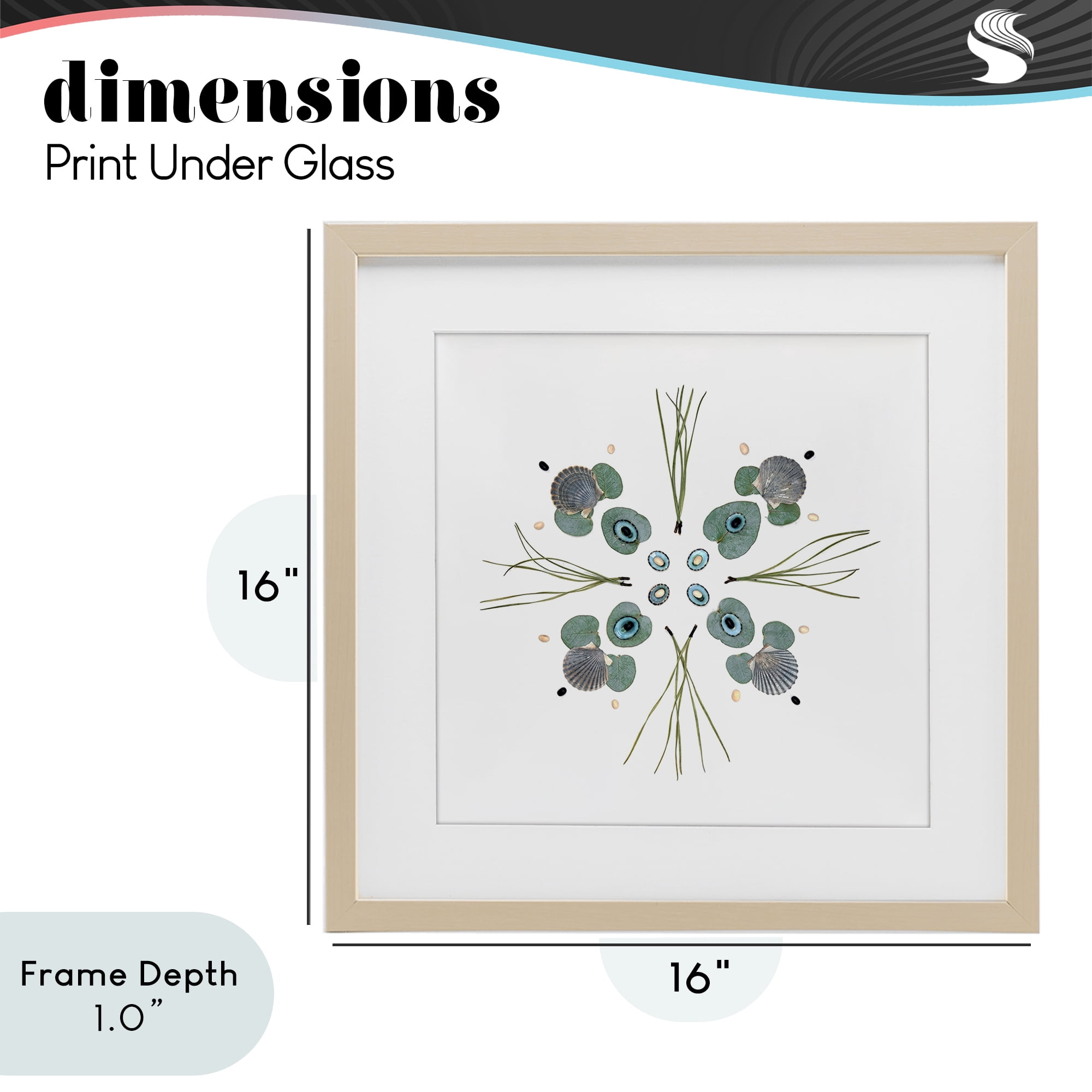 Stupell Industries Seashell & Leaf Symmetry Birch Framed Print Under Glass, design by Beth Adoette