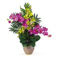 thumbnail image 1 of Double Phal/Dendrobium, 1 of 1