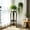 Black, variant on Plant Stand Indoor Outdoor 2 Tier 20" Tall Metal Potted Holder Rack Flower Pot Stand Heavy Duty Plant Shelf Rustproof Iron Multiple Plant Round Supports Rack for Planter Corner Garden Balcony Patio