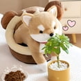 thumbnail image 6 of BESTSKY 2026 New Kids Toys Shiba Inu Plush Pillow,Soft Corgi Stuffed Animals Toy Cute Sleeping Puppy Surprise Soft Animal Toy Set for Girls-Stuffed Animals for Ages 3-8, 6 of 7