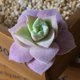 thumbnail image 3 of Gwong Decoración hogareña 1 unid Plastic Fake Artificial Succulents Plant Bonsai Garden Home Office Decor Gwong 21033212, 3 of 7