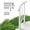 White, variant on VEVOR Handrails for Outdoor Steps, 1-2 Step Stair Hand Rail Kit, Transitional Carbon Steel Railings with Installation Kit, Stair Rails for Seniors, Concrete Steps & Porch & Deck, Black Retro Arch