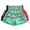 green, variant on FLUORY Muay Thai Shorts Color Contrast Free Combat Mixed Martial Arts Boxing Training Match Pants Fashion Style