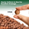 thumbnail image 2 of NOGIS Clay Pebbles for Plants - 0.66lb 8-14 mm Pebbles for Indoor Plants Clay Used for Drainage, Decoration, Aquaponics, Hydroponics and Other Gardening Essentials Small Pebbles Leca, 2 of 6