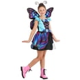 thumbnail image 1 of Déguisement Éclatant de Butterfly pour Fille, 1 of 7