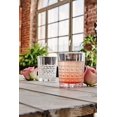 thumbnail image 4 of Bormioli Rocco Este DOF Glass, Set of 6, 13.5 oz, Clear, 6 Count, 4 of 10