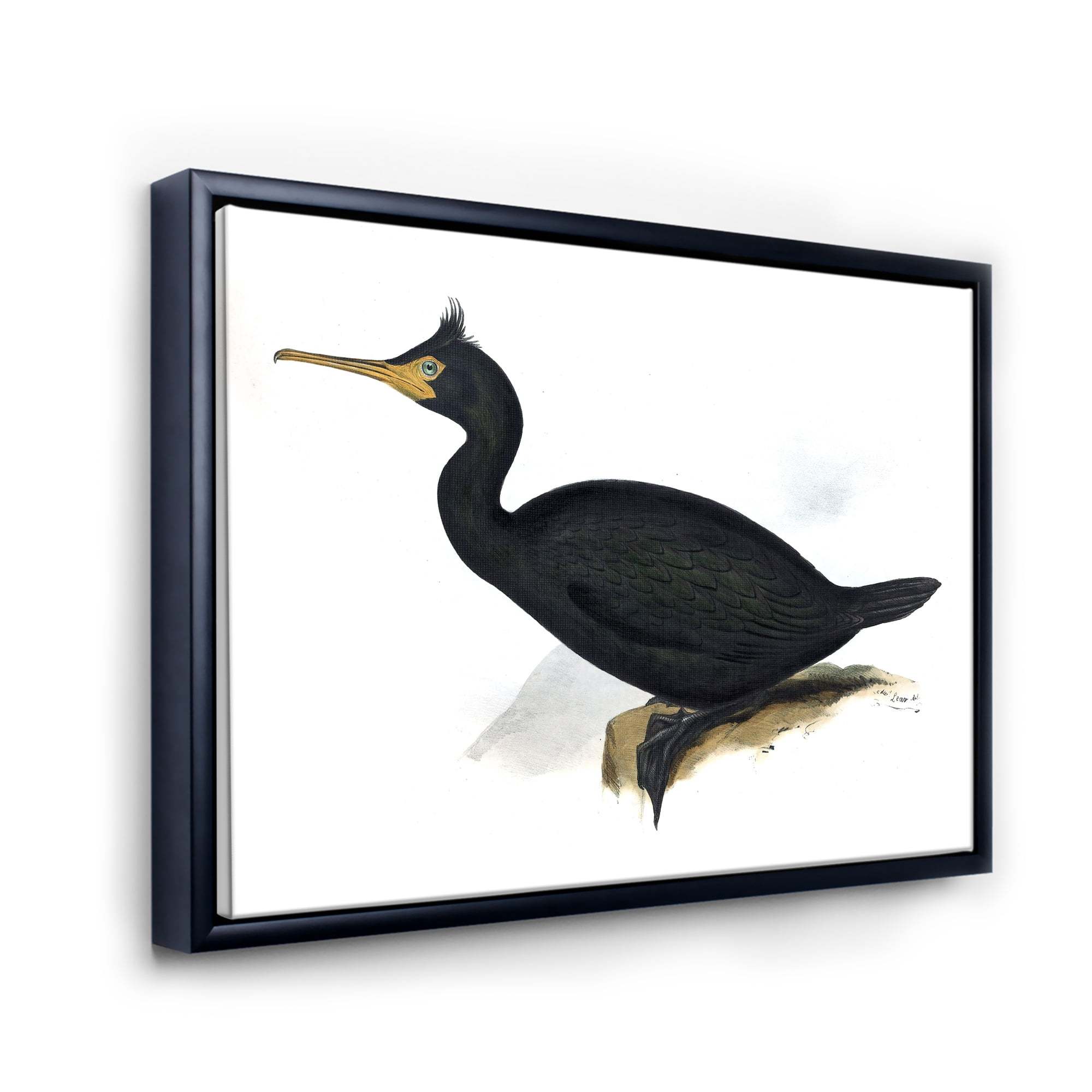 Designart 'Ancient Bird Life IV' Traditional Framed Canvas Wall Art Print