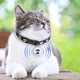 thumbnail image 3 of Dispositivo de búsqueda de Collar para perros y gatos, dispositivo de seguimiento en tiempo Real, compatible con Bluetooth, para perros y gatos, 3 of 6