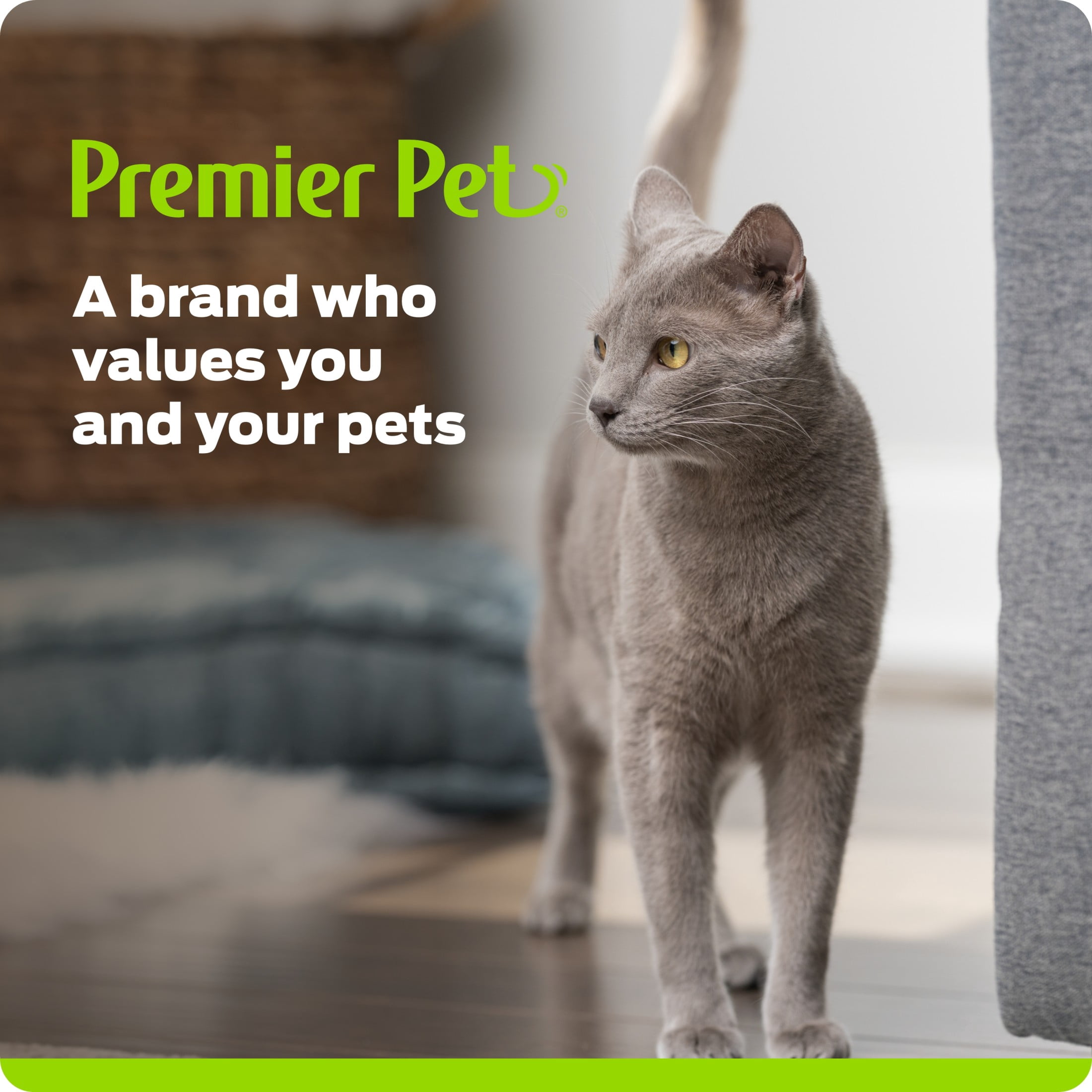 Premier Pet Multi Cat Fountain 54 oz