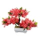 thumbnail image 2 of Árbol bonsái artificial en maceta, centro de mesa japonés con maceta para interior rojo, 2 of 9