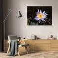 thumbnail image 3 of Dana Underdahl 24x17 Gallery Wrapped Canvas Wall Art Titled - Violet Water Lily II, 3 of 4