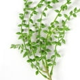 thumbnail image 3 of 5PCS Simulation Succulents Lover Tears Green Rattan Wall Hangings Artificial Plant Home Party Decor,82cm Simulation Succulents Lover Tears Green Rattan Artificial Plant, 3 of 6