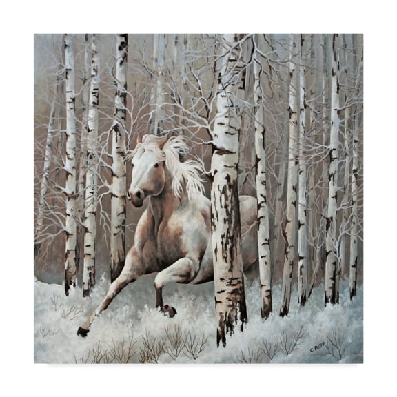 Trademark Fine Art 'Subtle Tones of Nature' Canvas Art by Carol J Rupp