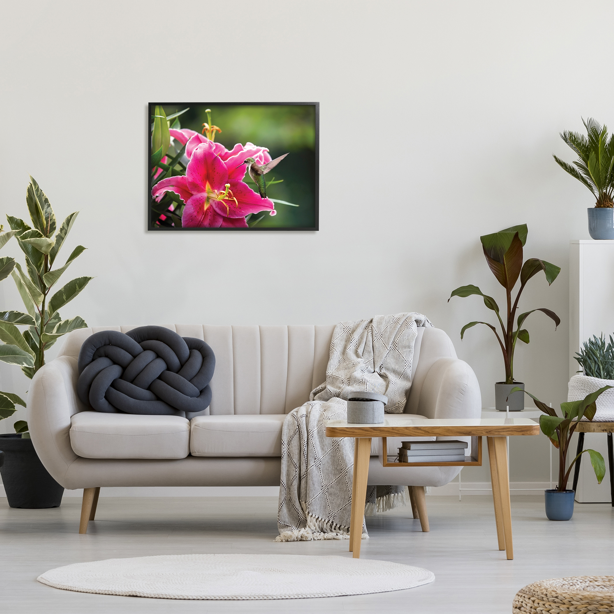 Stupell Industries Hummingbird with Hibiscus Animals & Insects Photography Black Framed Art Print Wall Art, 30 x 24