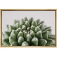 thumbnail image 3 of PixonSign Framed Canvas Print Wall Art Green Brevifolia Succulent Botanical Wilderness Photography Realism Contemporary Portrait Colorful Cool for Living Room, Bedroom, Office - 24"x36" Natural, 3 of 5