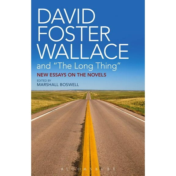 David Foster Wallace and the Long Thing: New Essays on the Novels, (Paperback)