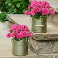 thumbnail image 5 of Morttic 2 Pcs Artificial Red Geranium Bush Faux Flowers Geraniums Silk Flowers Outdoor Plant Bush Red Geraniums for Floral Home Decor Indoor Garden Patio Grave Cemetary Vase Table Centerpiece, 5 of 7