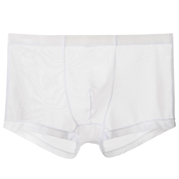 Plcasen Mens Mesh Sexy Sheer See Through Boxer Briefs Bulge Enhancing Pouch Trunks Underwear