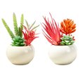 thumbnail image 1 of 2 uds suculentas de simulación flores de plástico en macetas adornos bonsái creativos plantas verdes artificiales, 1 of 5