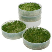 Kitchen Crop 4 Tray Kitchen Sprouter VKP1014 | BPA Free 6" Diameter Seed Sprouting Trays