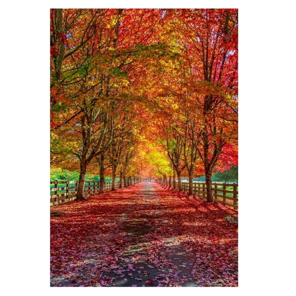 Harmony In Transition, (Paperback)