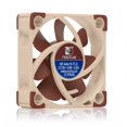 thumbnail image 2 of Ventilador Noctua NF-A4x10 FLX Premium Silencioso de 40 x 10 mm, 12 V, 3 pines, 2 of 7