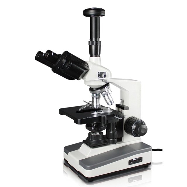 Vision Scientific Dual View Compound Microscope, 10x WF Eyepiece, 40x