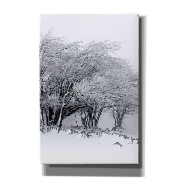 Epic Graffiti 'Winter Storm' by Incado, Giclee Canvas Wall Art, 12"x18"