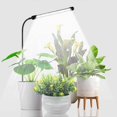thumbnail image 1 of Indoor Plant Grow Light, Full Spectrum Gooseneck Plant Light for Small Plants for Sowing, Automatic Timer, 1 of 5
