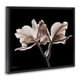 thumbnail image 3 of Stupell Industries Mocha Orchids on Black Floral Painting Black Floater Framed Canvas Art Print Wall Art, 31 x 25, 3 of 9