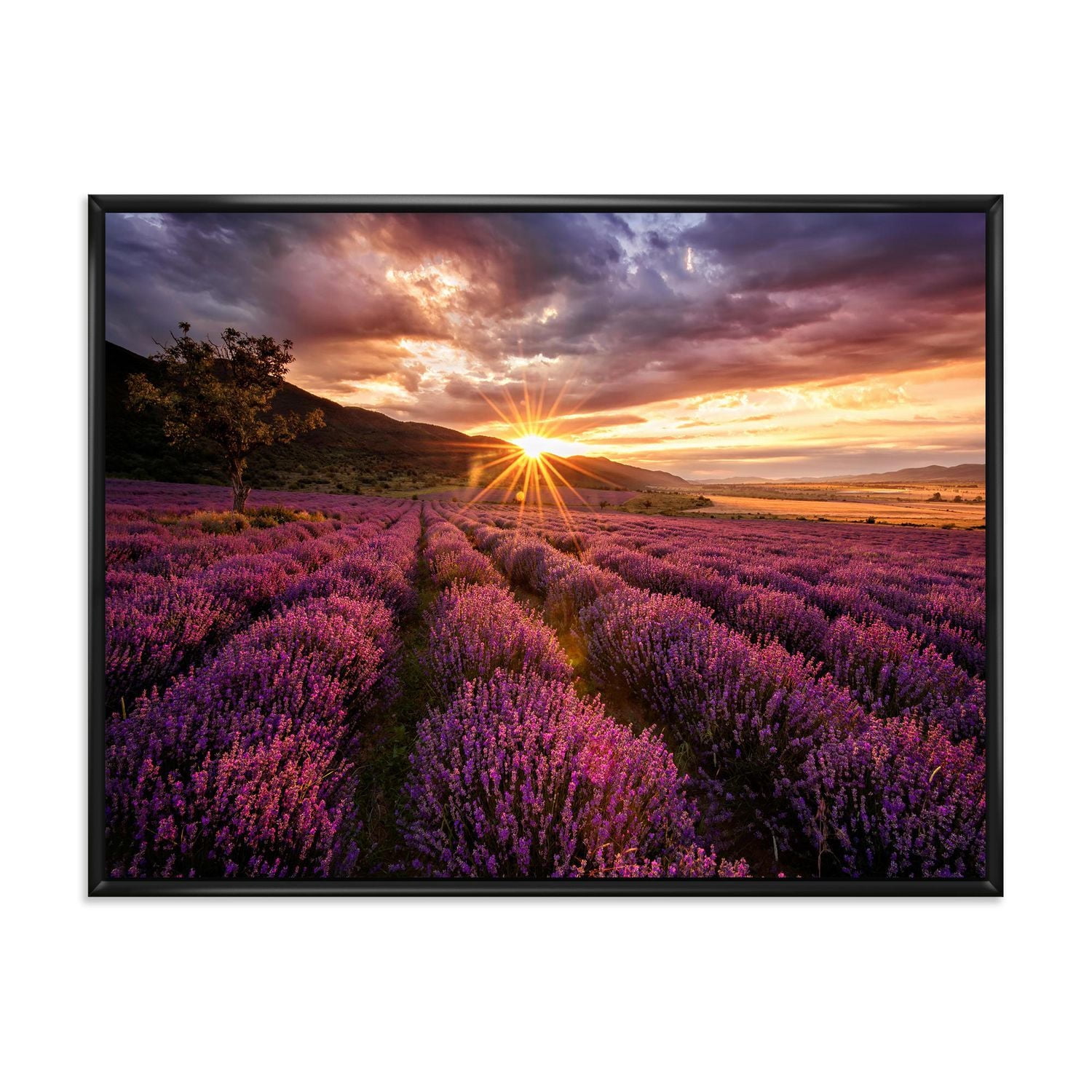 Designart Sunrise & Dramatic Clouds Over Lavender Field IV FLOAT FRAME WALL ART