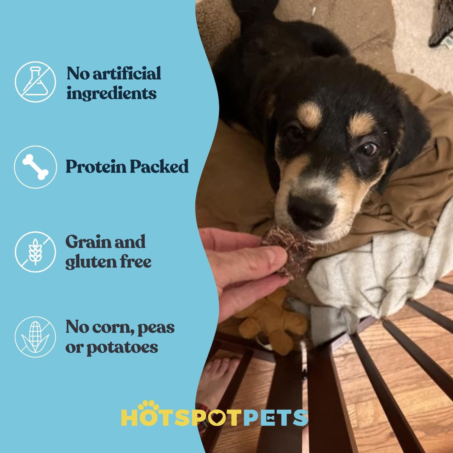 HotSpot Pets Beef Lung Dog Chews - All Natural Dehydrated Treats with Glucosamine & Chondroitin - 1LB