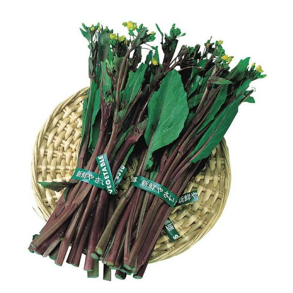 Yu Choy Sum Seeds - Kosaitai - Hon Tsai Tai - 4 Oz ~34400 Seeds - Non-GMO, Heirloom - Asian Garden Vegetable