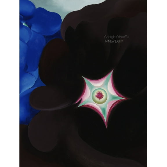 Georgia O'Keeffe: In New Light, (Hardcover)