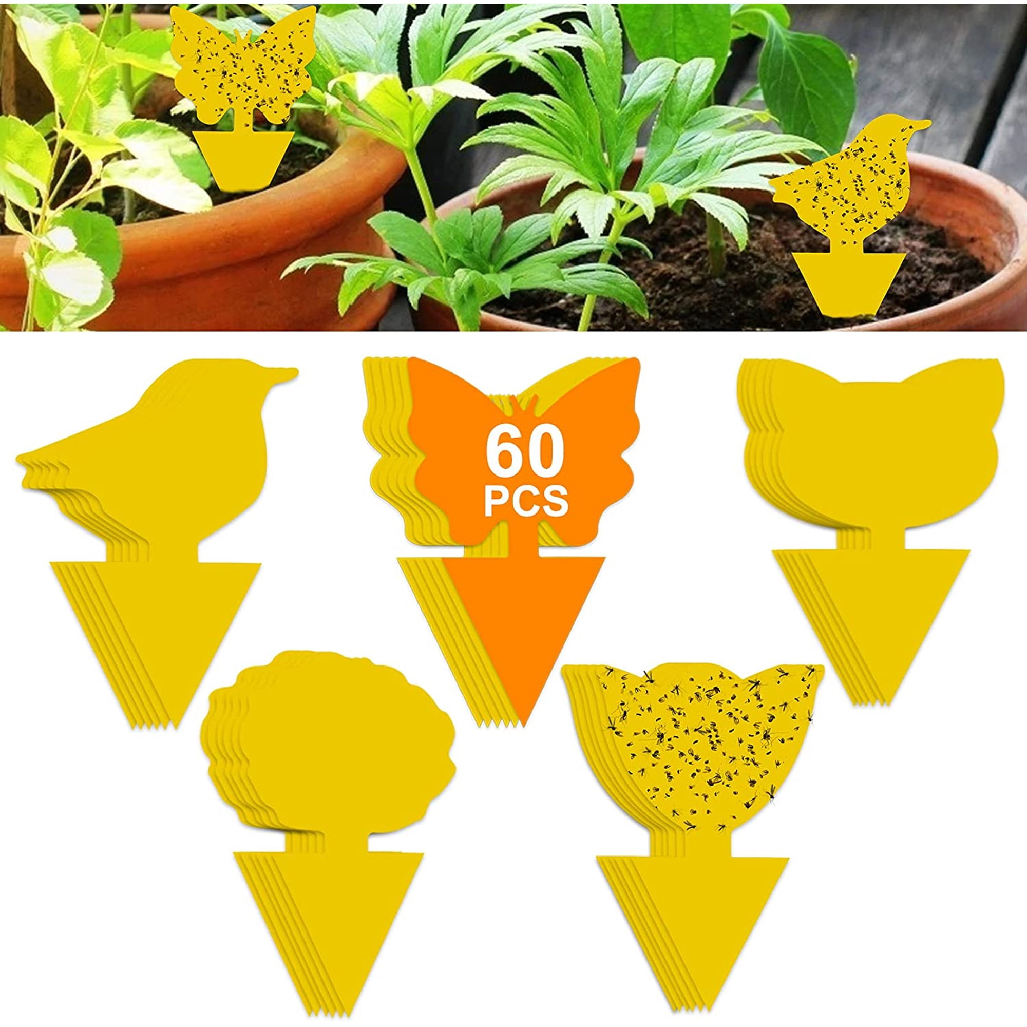 60 Pack Plant Sticky Trap Fungus Gnat Traps Killer for Indoor and Outdoor Bug, Fruit Fly Sticky Strips Protect Houseplant, Non-Toxic and Odorless