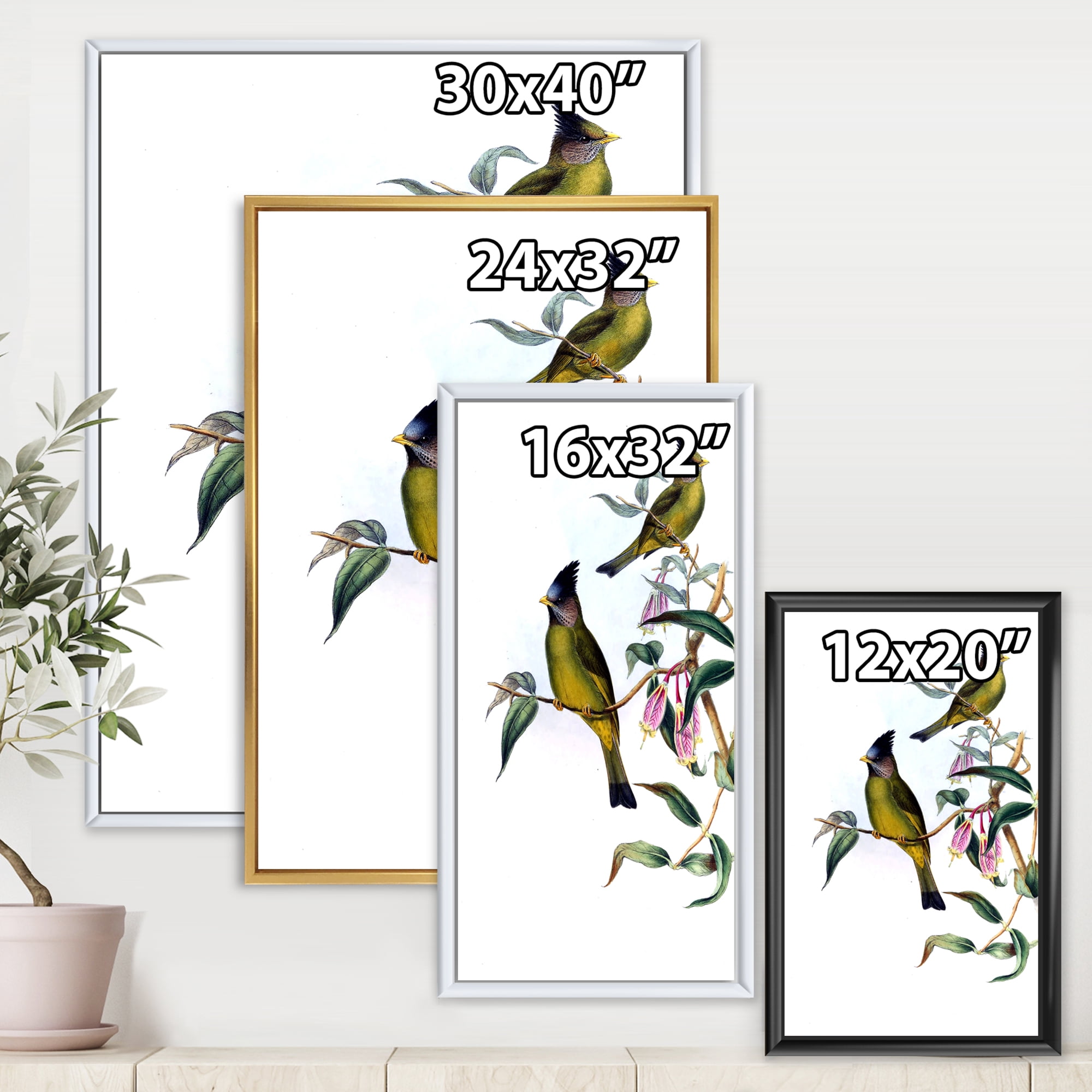 Designart 'Vintage Countryside Birds On Branch II' Farmhouse Framed Canvas Wall Art Print